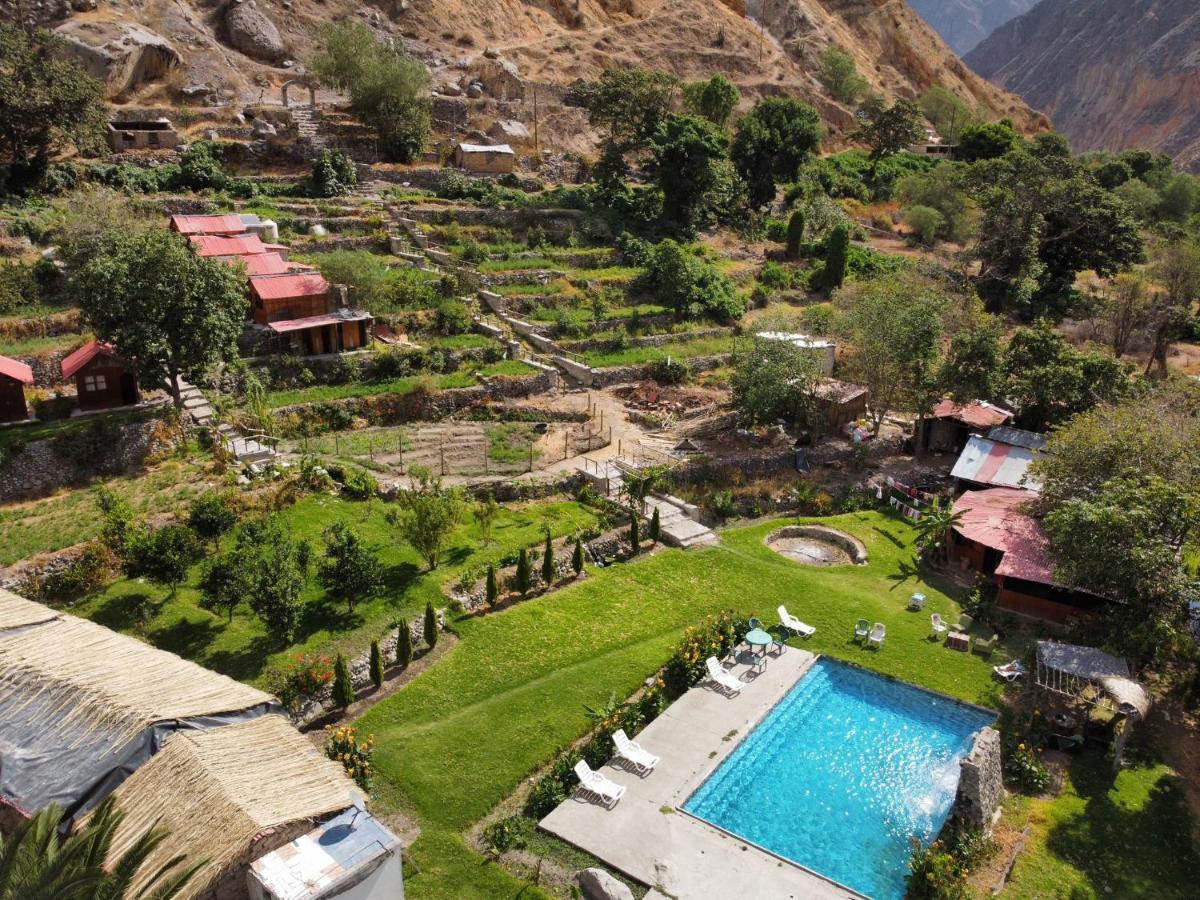 Oasis Paraiso Ecolodge Cabanaconde Esterno foto